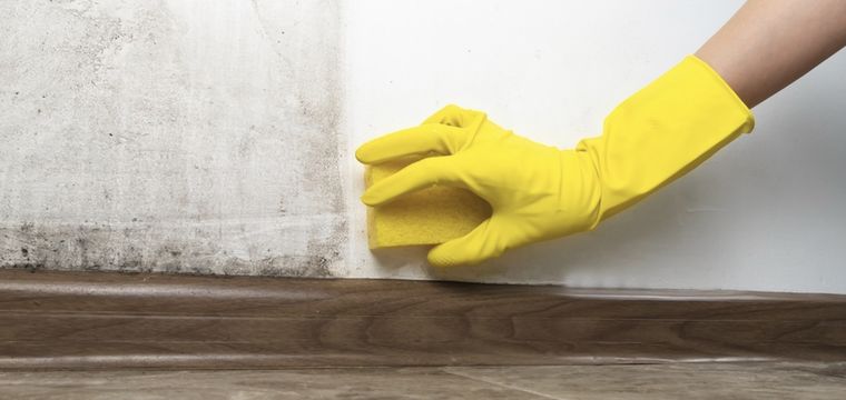 Necesitas tres ingredientes del hogar Foto: Shutterstock