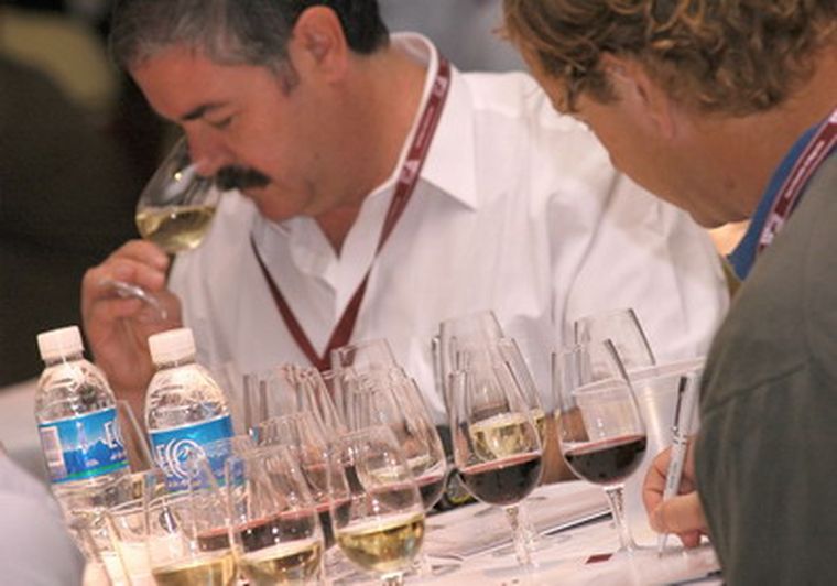 Análisis sensorial vinos del año.