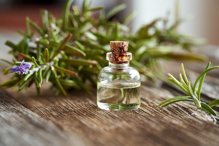 Una alternativa muy saludable. Foto: Archivo