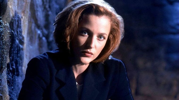 Gillian Anderson luce perfecta a sus 55 años y no teme el paso del tiempo Foto: Gillian Anderson / Instagram