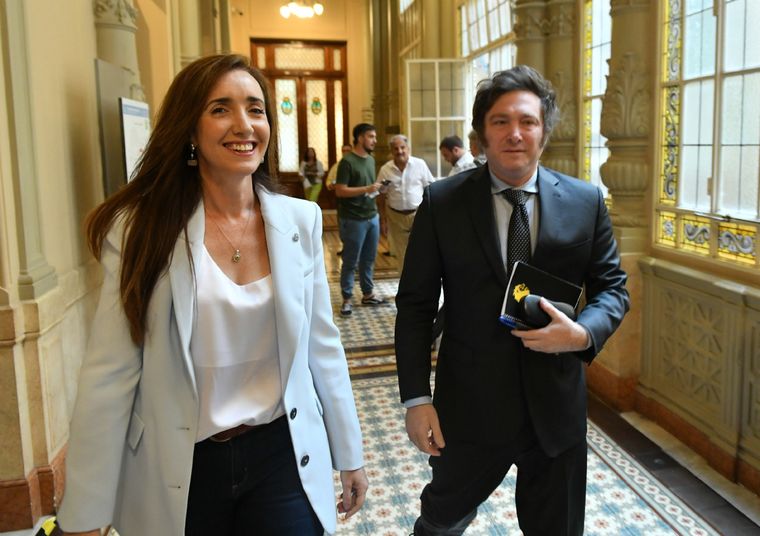 Villarruel se puso en contra de la universidad de Madres de Plaza de Mayo Foto: Noticias Argentinas