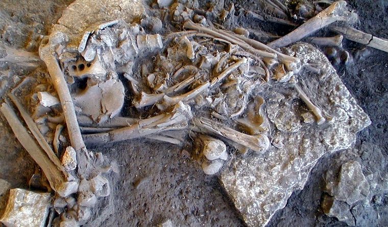 Restos humanos de la Edad de Piedra, con huellas de la peste. Foto: Dpa.
