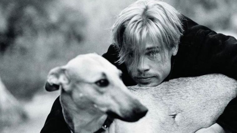 El perro que Brad Pitt adoptó en la cordillera de Los Andes. El perro que Brad Pitt adoptó en la cordillera de Los Andes.