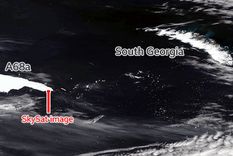 el iceberg mas grande del mundo estaria a punto de chocar contra un santuario de pingüinos y focas