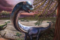 El nagatitán vivió entre hace 100 millones y 120 millones de años.