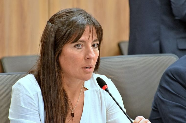 Pamela Verasay votó a favor del financiamiento universitario, aún cuando es aliada de Milei. 