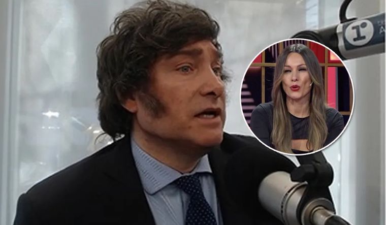 Milei defenestró a Pampita por opinar de él. Foto: Captura Instagram