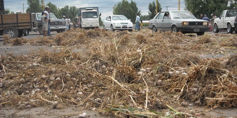 Ajo sobre la ruta 40.