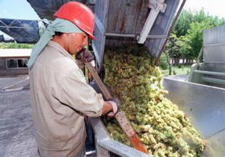 La Comisión de Econoía del Senado conoció la evolución de los dos operativos de uva.