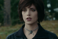 Ashley Greene estuvo en pareja con Joe Jonas.