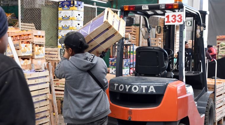 Distintos centros de fumigación del país se encuentran de paro debido a las medidas impuestas por el Senasa Foto: ALF PONCE MERCADO / MDZ