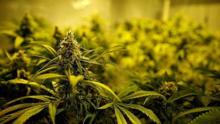 Su intendente, Pablo Riveros, le explica a RT que la iniciativa podría ayudar a que esa localidad salga de la crisis del coronavirus.