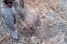 Tierras humeantes. Ramón Moreno Flores escarba en una grita de la tierra y muestra cómo aún sale humo. Foto: MDZ