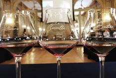 Impresionantes vinos de Finca La Celia.