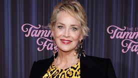 Sharon Stone denunció que una causa de lucha mundial estuvo a punto de destruir su carrera