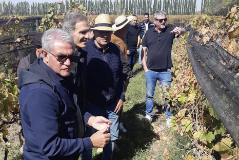 Burruchaga, Roggeri y otros campeones del 86 con Richard Bonvin, recorriendo Finca La Anita. Foto: Instagram Juan Pablo Candisano
