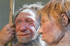 descubrimientos sobre la vida y los usos de los neandertales