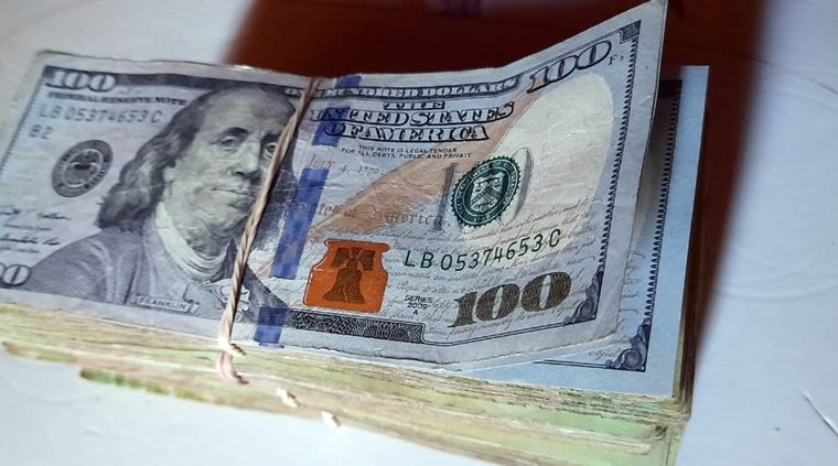 El dólar blue sufrió grandes subas en el mes de enero Foto: ALF PONCE MERCADO / MDZ