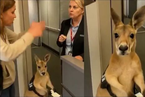 Viral: el video hecho con IA que recorrió el mundo. Foto: Archivo Viral: el video hecho con IA que recorrió el mundo. Foto: Archivo