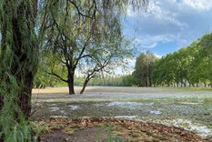 el dia despues de la tormenta: destrozos en el parque san martin el dia despues de la tormenta: destrozos en el parque san martin