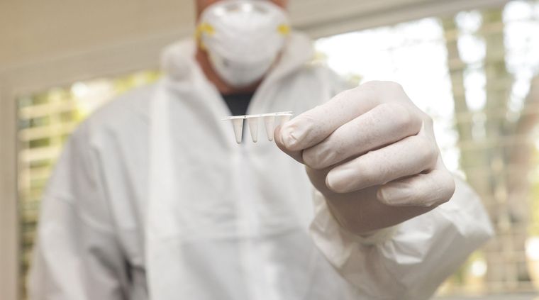 Foto: Gobierno de Mendoza