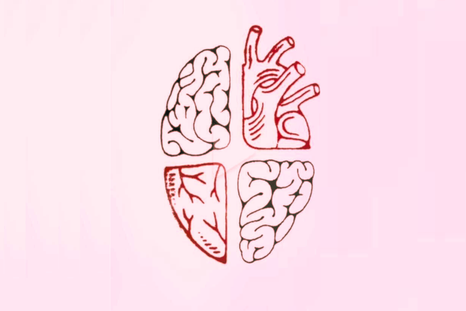 Test de personalidad Test de personalidad