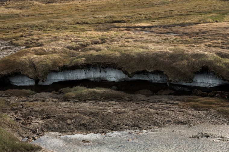 Este hallazgo ocurrió en el permafrost, una capa de suelo que se mantiene congelada durante al menos dos años consecutivos. Foto: Shutterstock