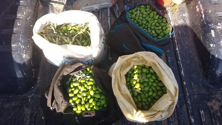 Los elementos robados Foto: Prensa Ministerio de Seguridad