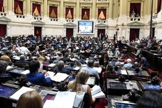 Milei continúa con el ajuste en el Estado. Foto: Prensa Diputados