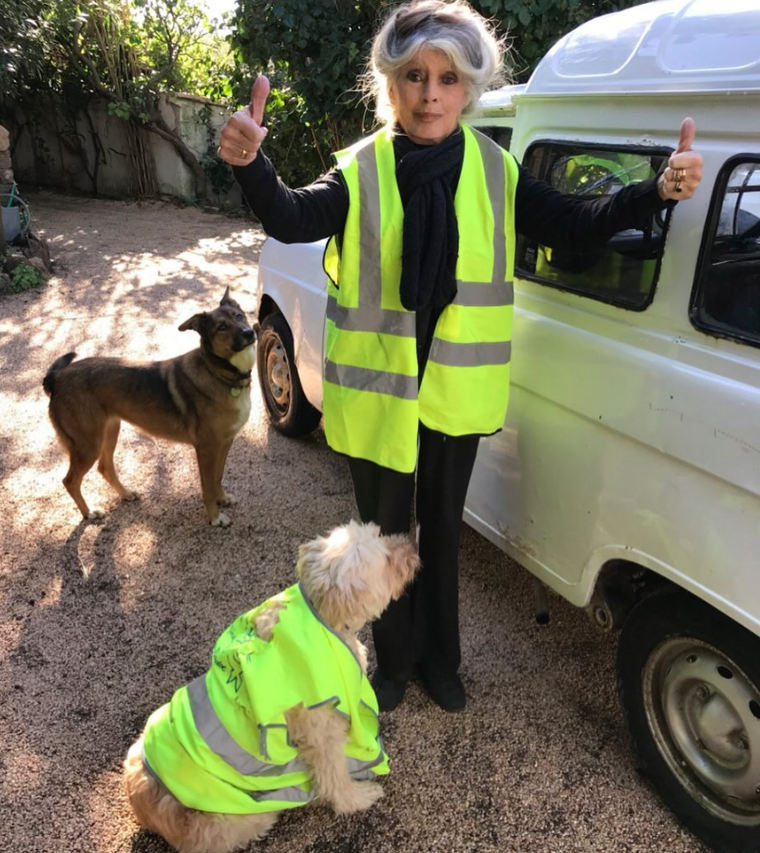 Brigitte Bardot fue referente mundial del activismo por los derechos de los animales. Brigitte Bardot fue referente mundial del activismo por los derechos de los animales.