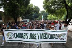 La Marcha de la Marihuana en Mendoza tuvo su protagonismo incluso bajo la lluvia | Foto: Maximiliano (Chimi) Ríos Foto: Maximiliano Ríos/MDZ
