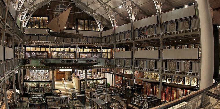 Universidad de Oxford Foto: ox.ac.uk/