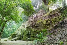 Imagen ilustrativa Foto: Shutterstock