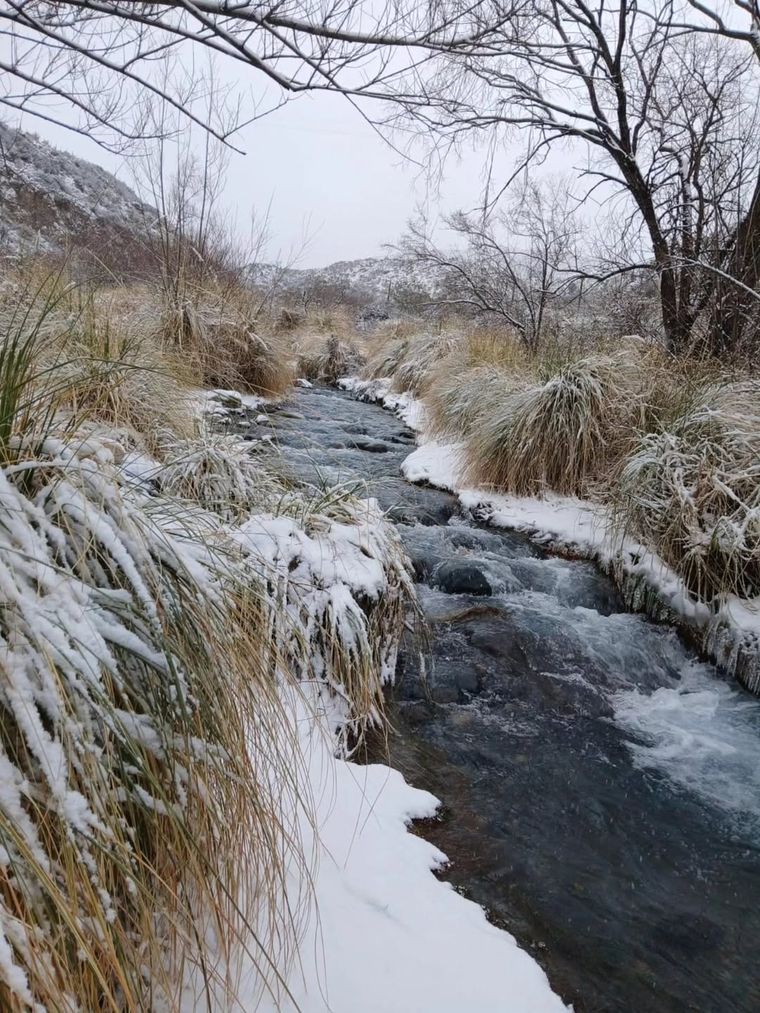 Domingo nevado en el Parque Provincial Cordón del Plata. Foto: @arbequinarestaurant en Instagram. Domingo nevado en el Parque Provincial Cordón del Plata. Foto: @arbequinarestaurant en Instagram.
