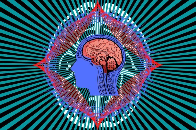¿Qué tipo de persona eres? Resuelve este divertido test visual y averígualo Test visual Foto: Canva