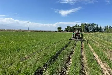 Una mejor nutrición de los suelos aumentaría la producción, las exportaciones y el empleo. Una mejor nutrición de los suelos aumentaría la producción, las exportaciones y el empleo.