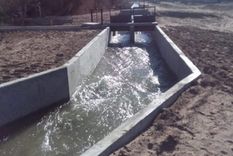 Foto ilustrativa. Foto: Archivo MDZ