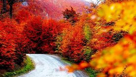 Este mágico enclave se ubica en Tierra del Fuego Foto: Gobierno de Tolhuin