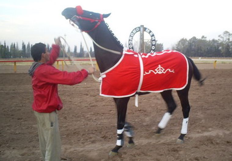 Mañana será el gran día de los burreros. Foto: MDZ