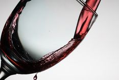 el mejor malbec del mundo, segun pepe honguito