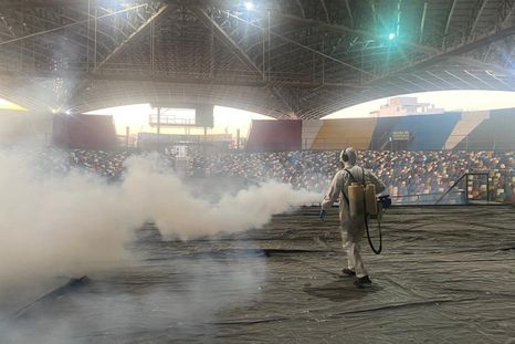 La fumigación es clave a la hora de evitar la proliferación de plagas. La fumigación es clave a la hora de evitar la proliferación de plagas.