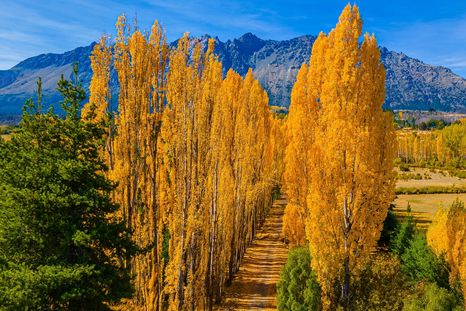 El pueblo de El Bolsón se ubica en un valle rodeado por montañas y bosques patagónicos. El pueblo de El Bolsón se ubica en un valle rodeado por montañas y bosques patagónicos.