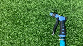 Un método natural y económico para tener un jardín más verde esta primavera. Foto: Shutterstock Un método natural y económico para tener un jardín más verde esta primavera. Foto: Shutterstock