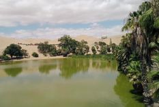 maravillas del mundo: ¿que es un oasis y donde encontrarlos?