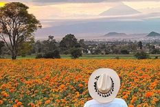 Instagram - @pueblosmagicosdemexico Foto: Instagram - @pueblosmagicosdemexico