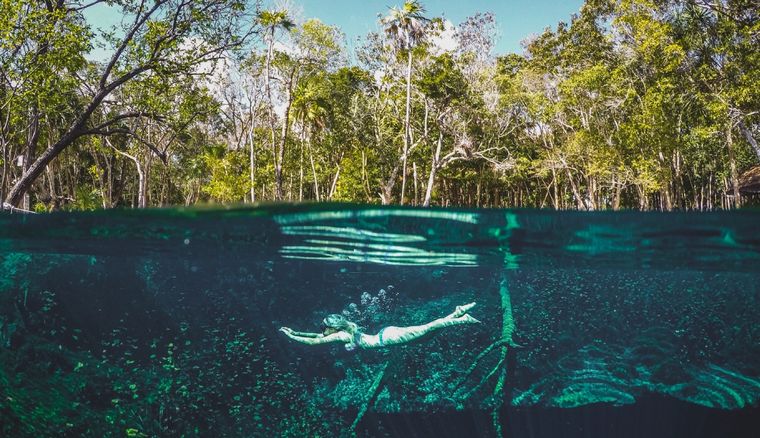 Nadar en cenotes es algo que solo puedes hacer Tulum, una ciudad de la costa caribeña de México, en la Península de Yucatán Foto: Lilian Pang