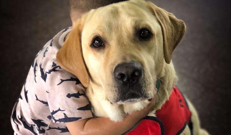 Los beneficios de convivir con un perro Foto: Bocalán Argentina