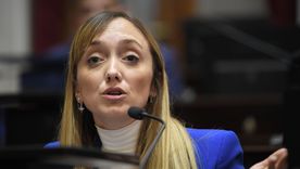 La senadora nacional Anabel Fernández Sagasti reaccionó ante un tuit de Javier Milei