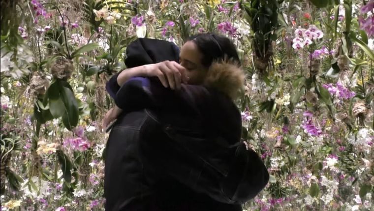 Celebrar el Día Internacional del beso, es una excelente forma de ofrecer un homenaje a las buenas intenciones y sentimientos que motorizan el acto de besar. Foto: MDZ