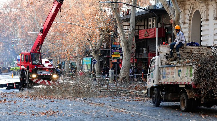 Foto: ALF PONCE MERCADO / MDZ